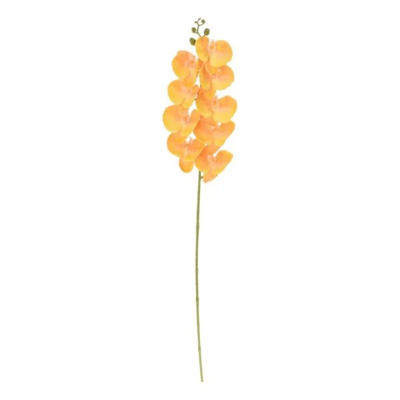 Selyemvirág lepkeorchidea 100 cm