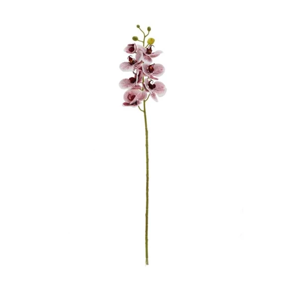 Selyemvirág lepkeorchidea 73 cm
