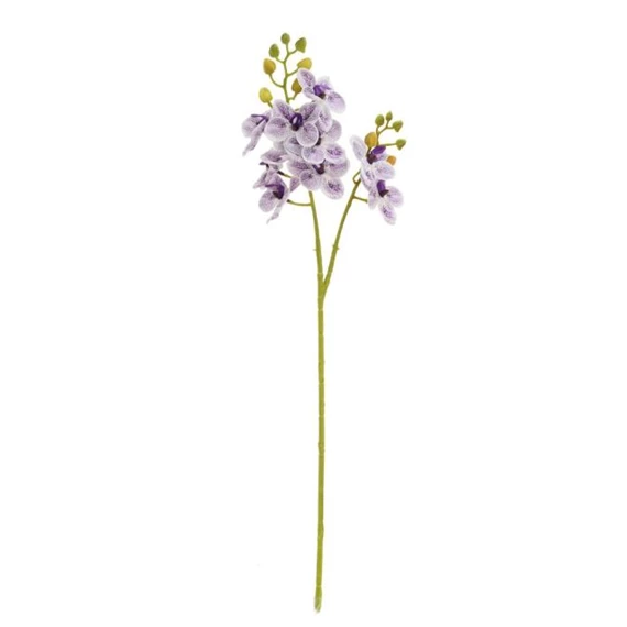 Selyemvirág lepkeorchidea 60 cm