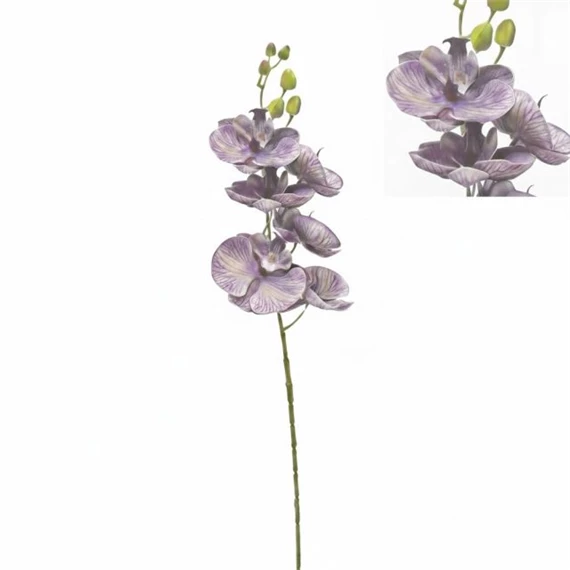 Selyemvirág lepkeorchidea 72 cm