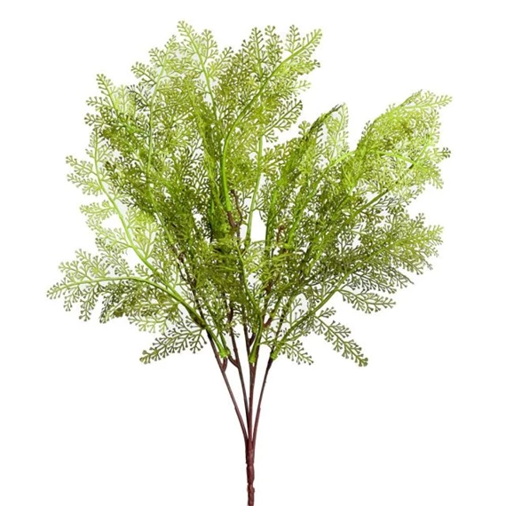 Selyemvirág páfrány 44 cm