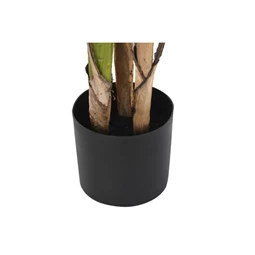 Selyemvirág Pálma 90x90x200 cm