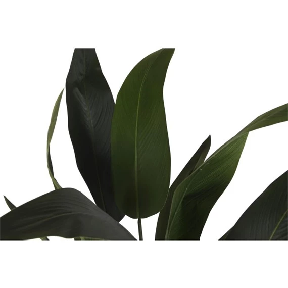 Selyemvirág 80x80x180 cm