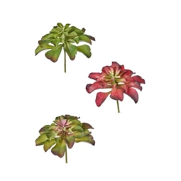 Selyemvirág pozsgás 32x35 cm 2 féle