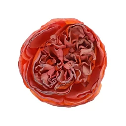 Selyemvirág bazsarózsa virágfej (min.menny. 12) 6 cm