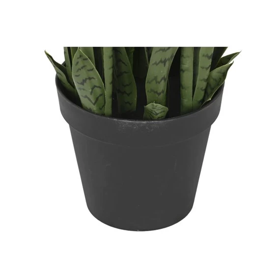 Selyemvirág Sansevieria cserepes 40x40x150 cm