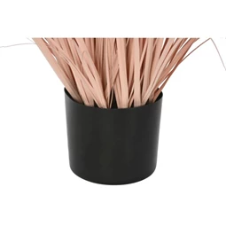 Selyemvirág Tollborzfű cserepes 45x45x150 cm