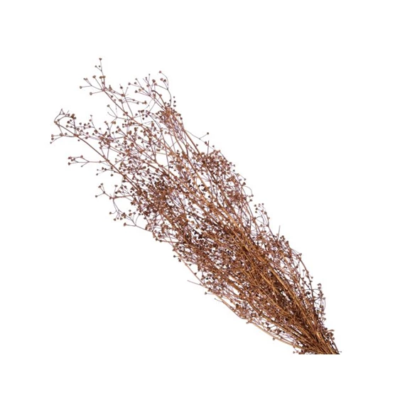 Spergula csokor szárított 55 cm