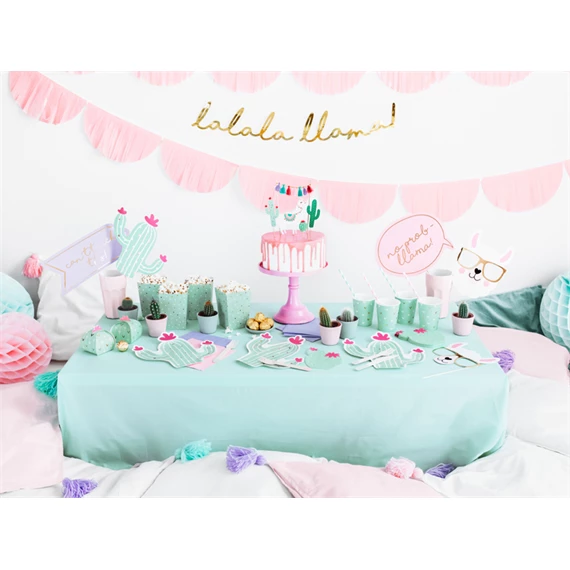 Szalvéta kaktusz, mix, 11,5x13,5 cm S/20