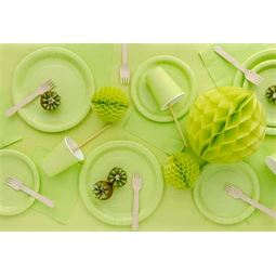 Szalvéta világoszöld 33x33 cm S/20