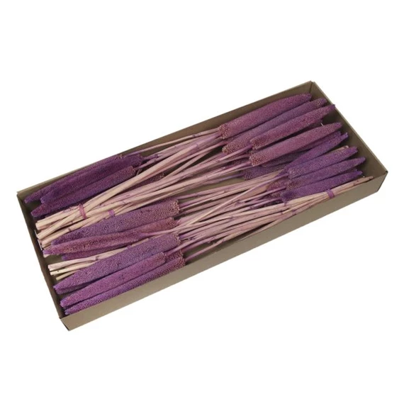 Szárazvirág babla csokor dobozban 70-75 cm S/6