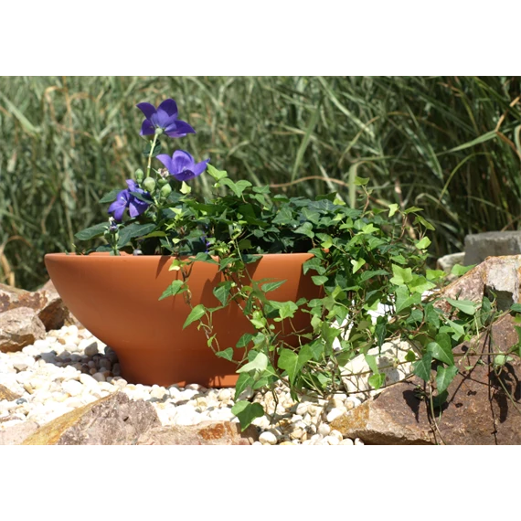 Tál 26 cm