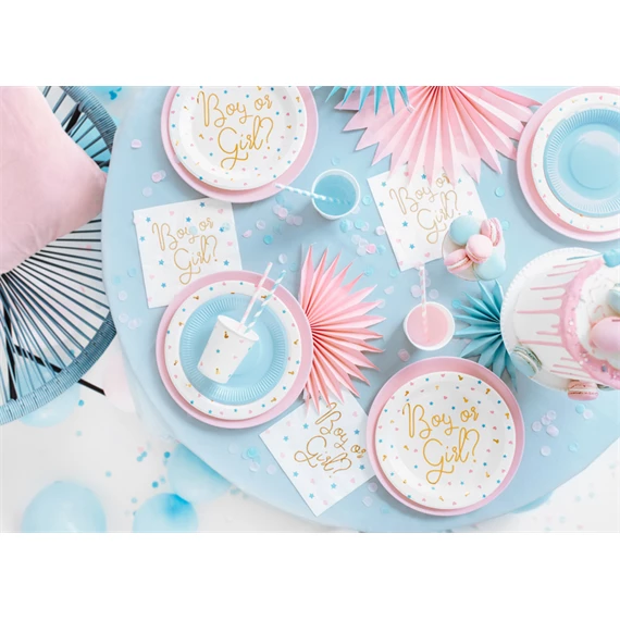 Papírtányér fiú vagy lány 23 cm S/6