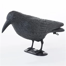 Varjú 40x21x13 cm