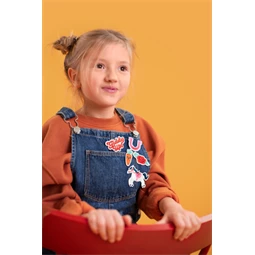 Vasalható matrica giddy up, mix, 2-7x3,5-7 cm S/5