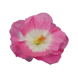 Virág betűzős 45x20 cm