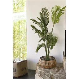 Virágtartó szett 50x50x25,4 cm S/2