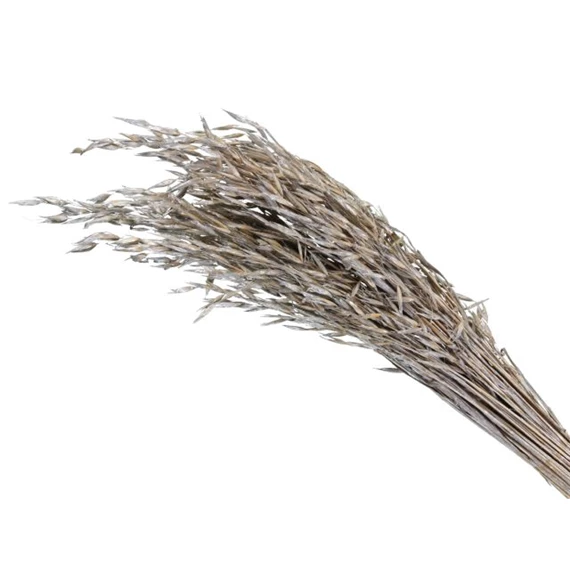 Zab csokor 100 g, 75 cm