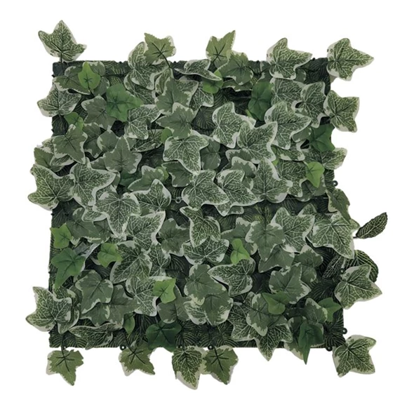 Zöldfal Borostyánnal 50x50 cm