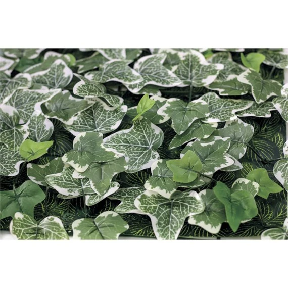 Zöldfal Borostyánnal 50x50 cm