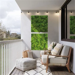 Zöldfal mohára emlékeztető növényekkel 1x1 m