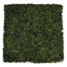 Zöldfal tuja levelekkel 50x50 cm