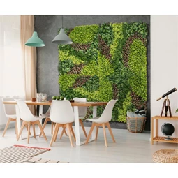 Zöldfal vegyes levelekkel 1x1 m