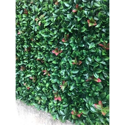 Zöldfal vörös babérlevelekkel 1x1 m